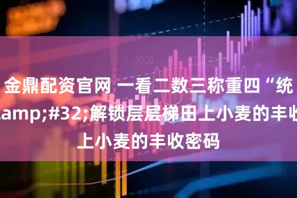 金鼎配资官网 一看二数三称重四“统一”&#32;解锁层层梯田上小麦的丰收密码