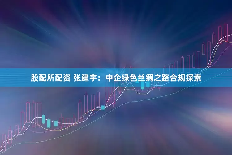 股配所配资 张建宇：中企绿色丝绸之路合规探索